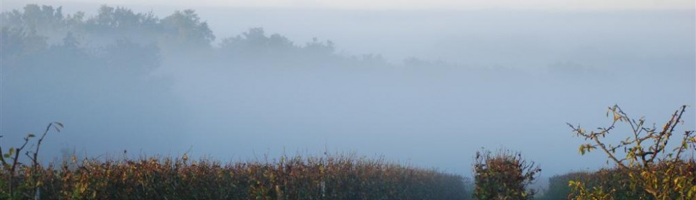 Cawthrays in Caupenne d'Armagnac