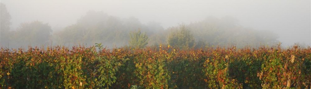 Cawthrays in Caupenne d'Armagnac