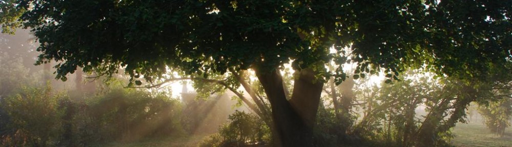 Cawthrays in Caupenne d'Armagnac