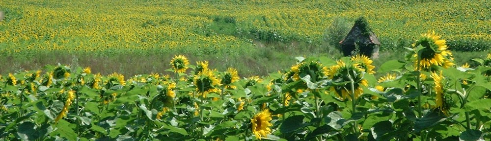 Cawthrays in Caupenne d'Armagnac