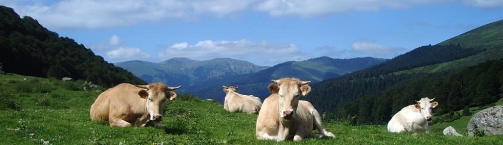 Cawthrays in Caupenne d'Armagnac