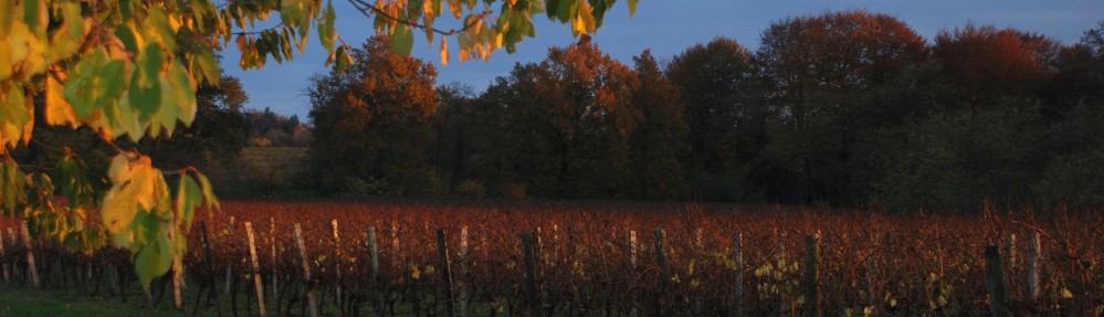 Cawthrays in Caupenne d'Armagnac