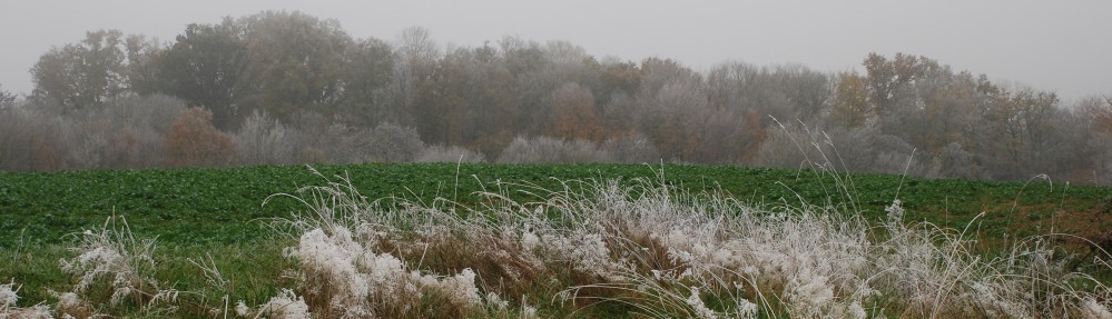 Cawthrays in Caupenne d'Armagnac