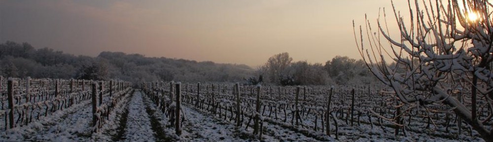 Cawthrays in Caupenne d'Armagnac