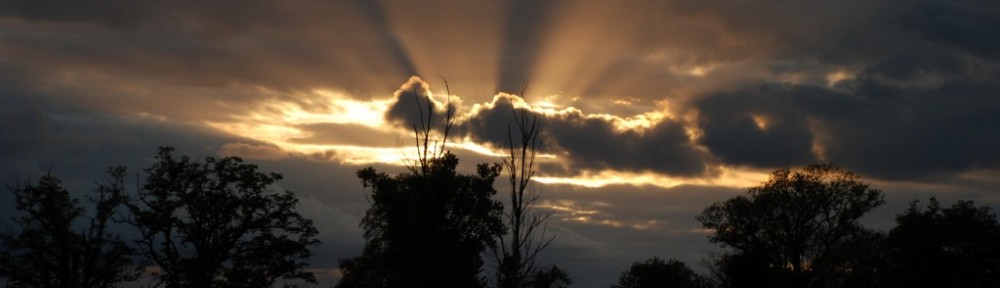 Cawthrays in Caupenne d'Armagnac