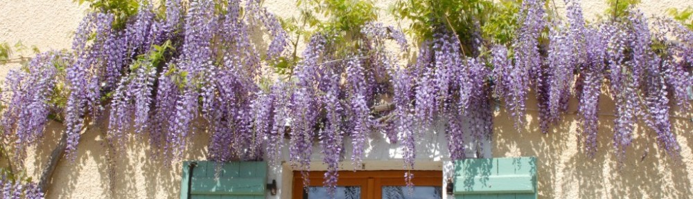 Cawthrays in Caupenne d'Armagnac