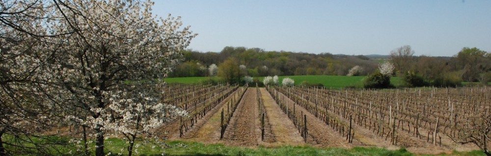 Cawthrays in Caupenne d'Armagnac