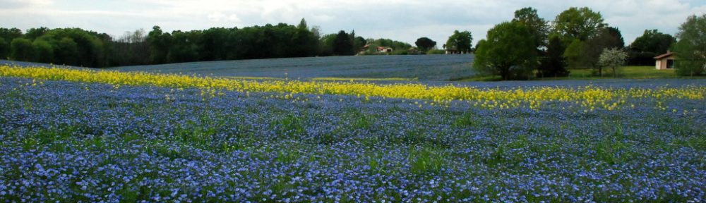 Cawthrays in Caupenne d'Armagnac