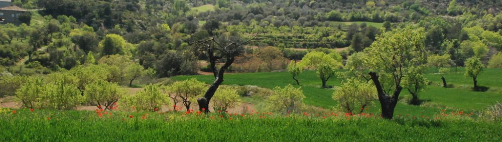 Cawthrays in Caupenne d'Armagnac