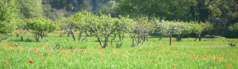 Cawthrays in Caupenne d'Armagnac